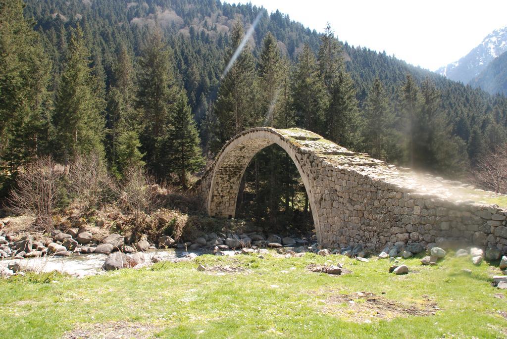 Ayder Umit Hotel Exterior photo